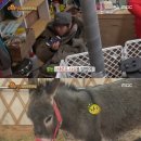 신통목장 이미지