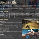 수목토 일라이트 홍성점 | 수목토 일라이트 허리복대