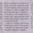 예능나라 이미지