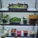 계수가든 | [부천/시흥맛집] 속이 편안한 '찐' 점심 맛집 '계수가든' 후기 (내돈내산) 🌿