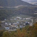 사과소리 Daum카페