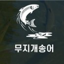 털보의류 이미지
