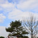 임충민공충렬사 이미지