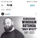 wwe 브레이와이어트 사망 이미지