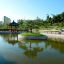 평화교통정비 이미지