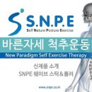SNPE 척추교정운동 도구-웨이브스틱, 웨이브롤러의 활용(세미나 프리젠테이션 자료) 이미지