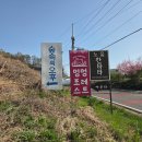 더멍멍 | 강화도 동막해수욕장 근처 애견펜션 멍멍포레스트 포레스트5호 내돈내산 솔직후기