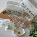 꽃냥이 | 출산후영양제 뭐 챙겨요? 올리브오일 효능 담은 올록담 후기