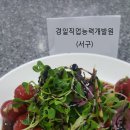 퓨전브런치 요리실무 이미지