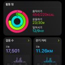 3월 경주 벚꽃여행 3일차 여행일기