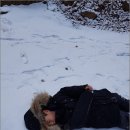 자연을담다 이미지