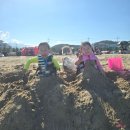 정아수산 | 대포항 횟집 대게 포장 맛집 정아수산