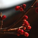 범천1동-2 이미지