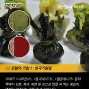 김밥속의이야기