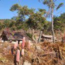 송학1리 | [아산둘레길] Go Go 황산승주골산 둘레길의 사계를 걷다