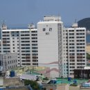 태종동물병원 이미지