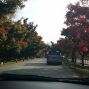 힐링 그림책 동화구연 이미지