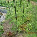 백마농장 이미지