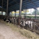 이든목장 이미지