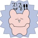 오빠청과 이미지