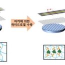 2023-03-0016 - 춘천시 | 2023-03-0016