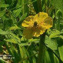 농업회사법인 주식회사 양지 이미지