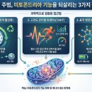 NR-14[정몽주로]-상-1 | 만성 피로 해결의 열쇠: 미토콘드리아 기능을 회복하는 3가지 과학적 방법