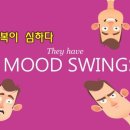 신호상사 네이버블로그