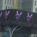 케빈영상컴퓨터학원 이미지