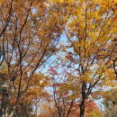 산책길에 이미지