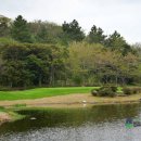 테디벨리 | 제주도 회원제 골프장 부킹 잔디 좋은 제주 테디벨리cc 예약 후기