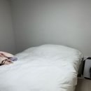 베스트슬립 엘라비아P7 후기