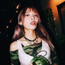 와이31