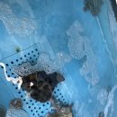 남해-172 | 목포 현지인 백반 맛집 남해밥상 갈치조림