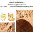 고양이집 이미지