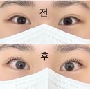 안양 일소리 | 호계동 라뷰티 | 안양 틴팅 속눈썹펌 체험단 후기 👀✨✨