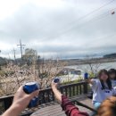 베로니카네집 이미지