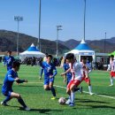 군민체육공원 인조1구장 이미지