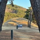 군립가야금연주단 정기공연 | 고령 지산동 고분군에서 펼쳐지는 국가유산 미디어아트 일정