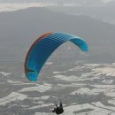 보령시청 이미지