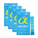 에버그린 이미지