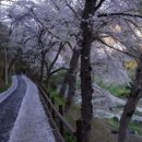 월명수산 이미지