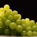 챠오(Ciao) 이미지