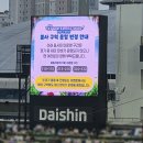 경기도 여름 축제 추천 KT위즈 워터페스티벌 1루 응원석 직관 후기 놀거리 즐길거리