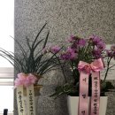 낙양검도관 이미지