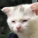 반포대로28길 80 이미지