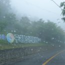 구재봉자연휴양림 이미지