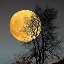 아름다운 달 이미지 이미지