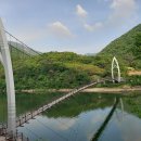 연하엽구름다리 이미지