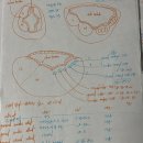 뉴로트레이닝센터 이미지